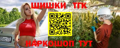 индика Ирбит