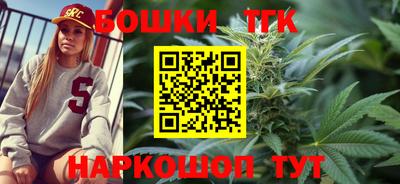 индика Ирбит