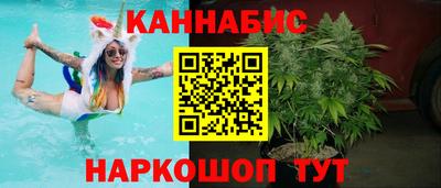 индика Ирбит