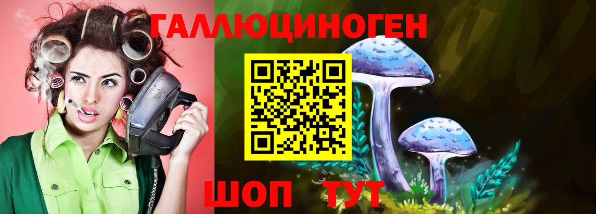 Жуковский  Галлюциногенные грибы MAGIC MUSHROOMS  Вход с VPN  купить  сайты  Псилоцибиновые грибы GOLDEN TEACHER 